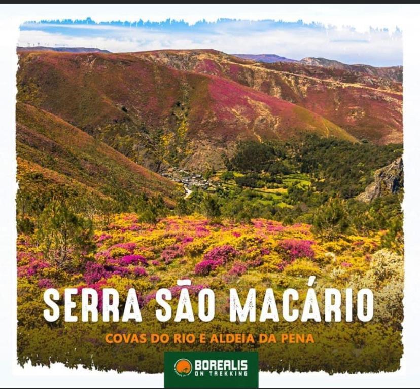 Terraco D'aldeia *